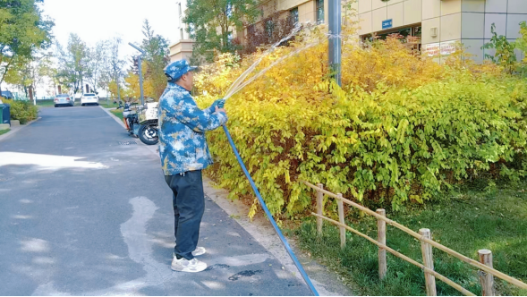 DB�羺��(�й���)�ٷ���վ